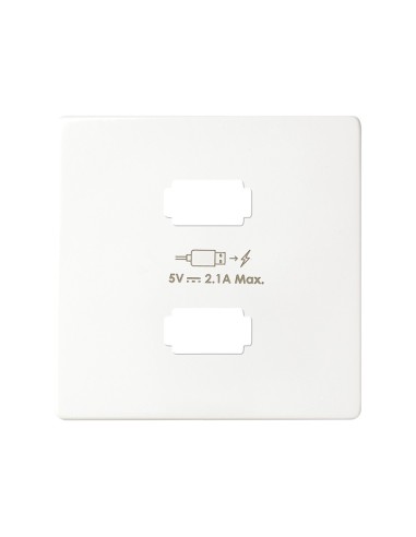 8211096-030 SIMON CARUTAL CARGADOR 2XUSB