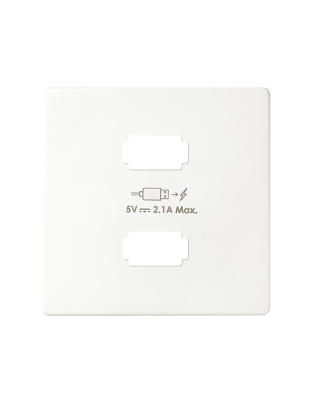 8211096-030 SIMON CARUTAL CARGADOR 2XUSB