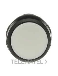 1SFA619100R1025 ABB PULS OPACO MOMEN 2NA