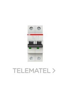 2CDS252001R0277 ABB S202-K2 MAGNETO.