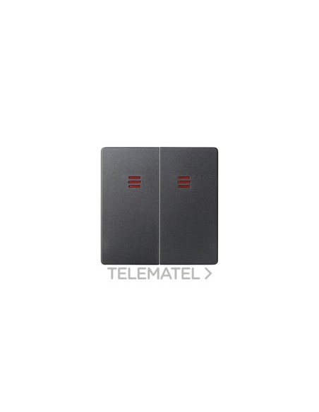 82025-38 SIMON TECLA GRUP.2PULS/CONM.LUZ